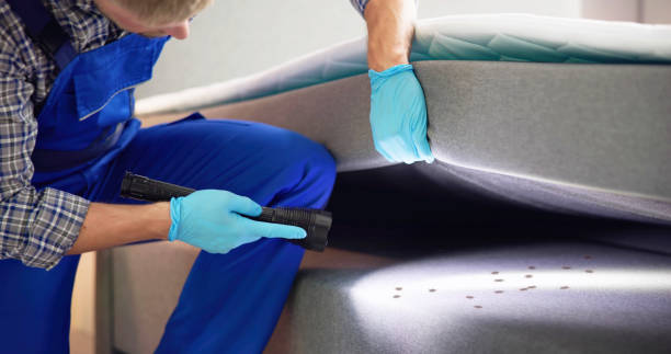Best Affordable Pest Control Services  in Jupiter, FL