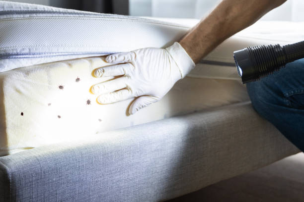 Best Pest Prevention Services  in Jupiter, FL