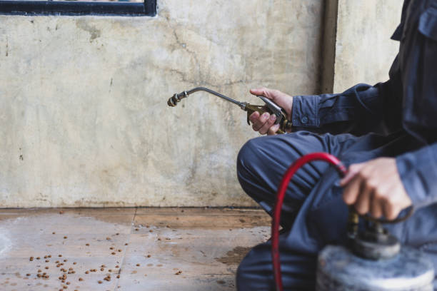 Best Rat Extermination Near Me  in Jupiter, FL